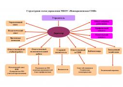 Схема структуры и органов управления "Новокрасненская СОШ"